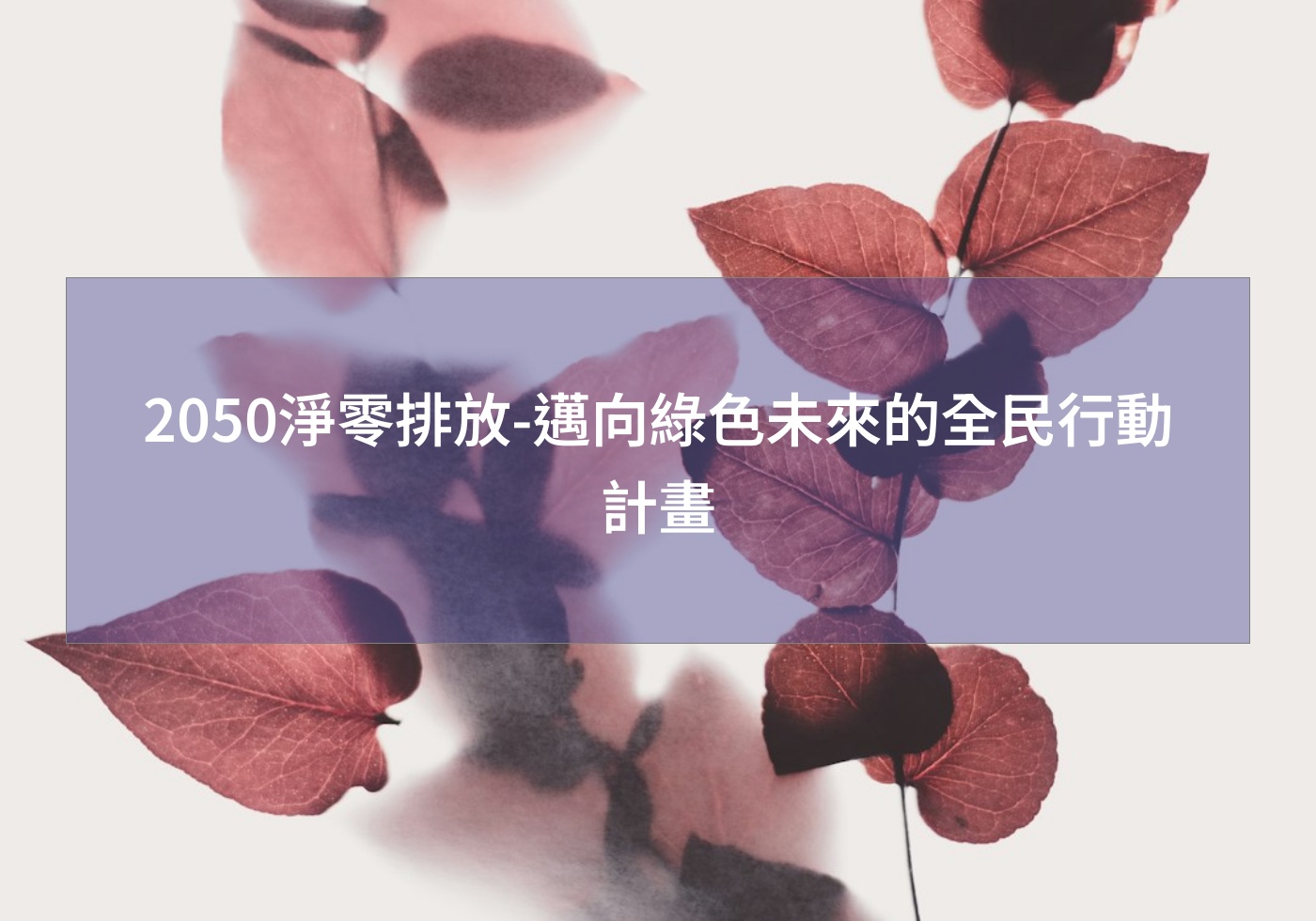 您目前正在查看 2050淨零排放-邁向綠色未來的全民行動計畫