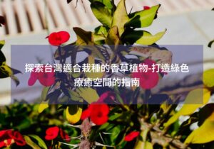 閱讀更多文章 探索台灣適合栽種的香草植物-打造綠色療癒空間的指南