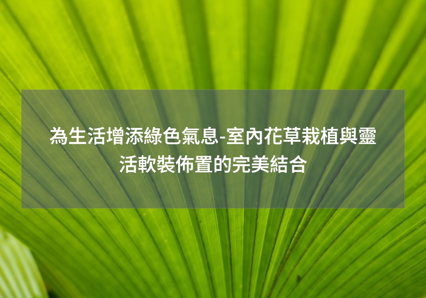 閱讀更多文章 為生活增添綠色氣息-室內花草栽植與靈活軟裝佈置的完美結合