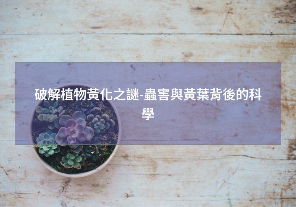 破解植物黃化之謎-蟲害與黃葉背後的科學