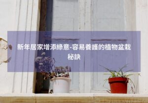 閱讀更多文章 新年居家增添綠意-容易養護的植物盆栽秘訣