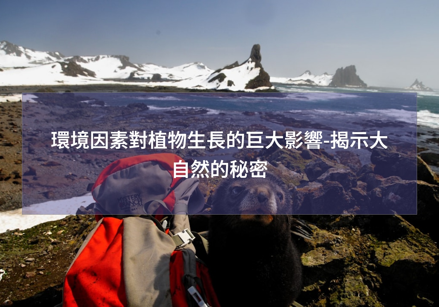 閱讀更多文章 環境因素對植物生長的巨大影響-揭示大自然的秘密