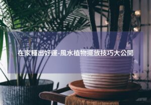 閱讀更多文章 在家種出好運-風水植物擺放技巧大公開