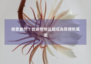 閱讀更多文章 綠意盎然！首選植物盆栽成為賀禮新風潮