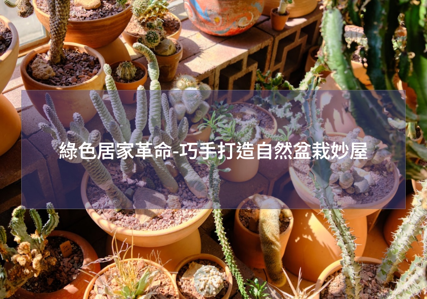 閱讀更多文章 綠色居家革命-巧手打造自然盆栽妙屋