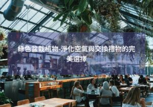 閱讀更多文章 綠色盆栽植物-淨化空氣與交換禮物的完美選擇