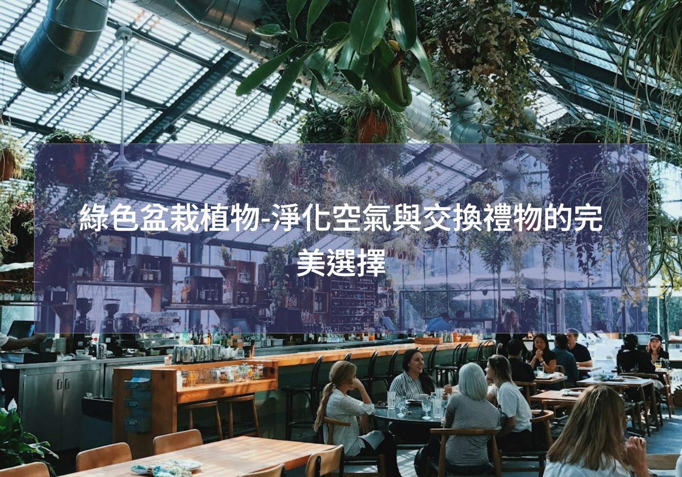 您目前正在查看 綠色盆栽植物-淨化空氣與交換禮物的完美選擇