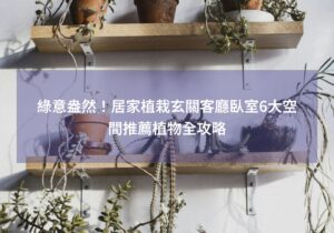 閱讀更多文章 綠意盎然!居家植栽玄關客廳臥室6大空間推薦植物全攻略