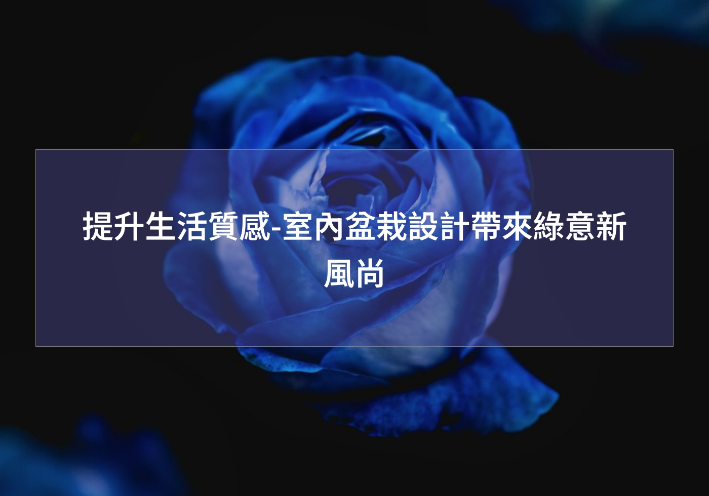 閱讀更多文章 提升生活質感-室內盆栽設計帶來綠意新風尚