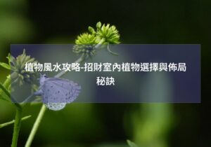 閱讀更多文章 植物風水攻略-招財室內植物選擇與佈局秘訣