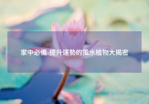 Read more about the article 家中必備-提升運勢的風水植物大揭密