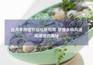 閱讀更多文章 台灣多肉植物栽培新指南-掌握水頻與通風環境的奧秘