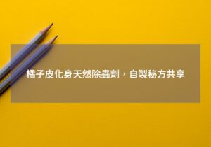 閱讀更多文章 橘子皮化身天然除蟲劑,自製秘方共享
