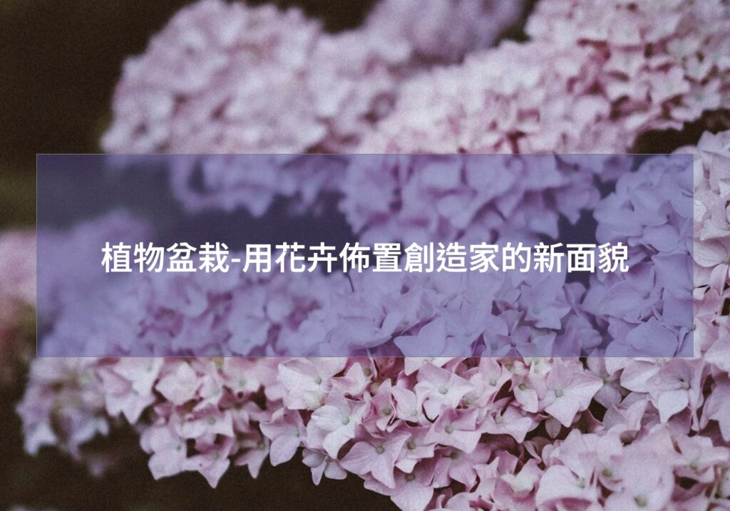 植物盆栽-用花卉佈置創造家的新面貌