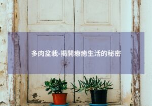 閱讀更多文章 多肉盆栽-揭開療癒生活的秘密
