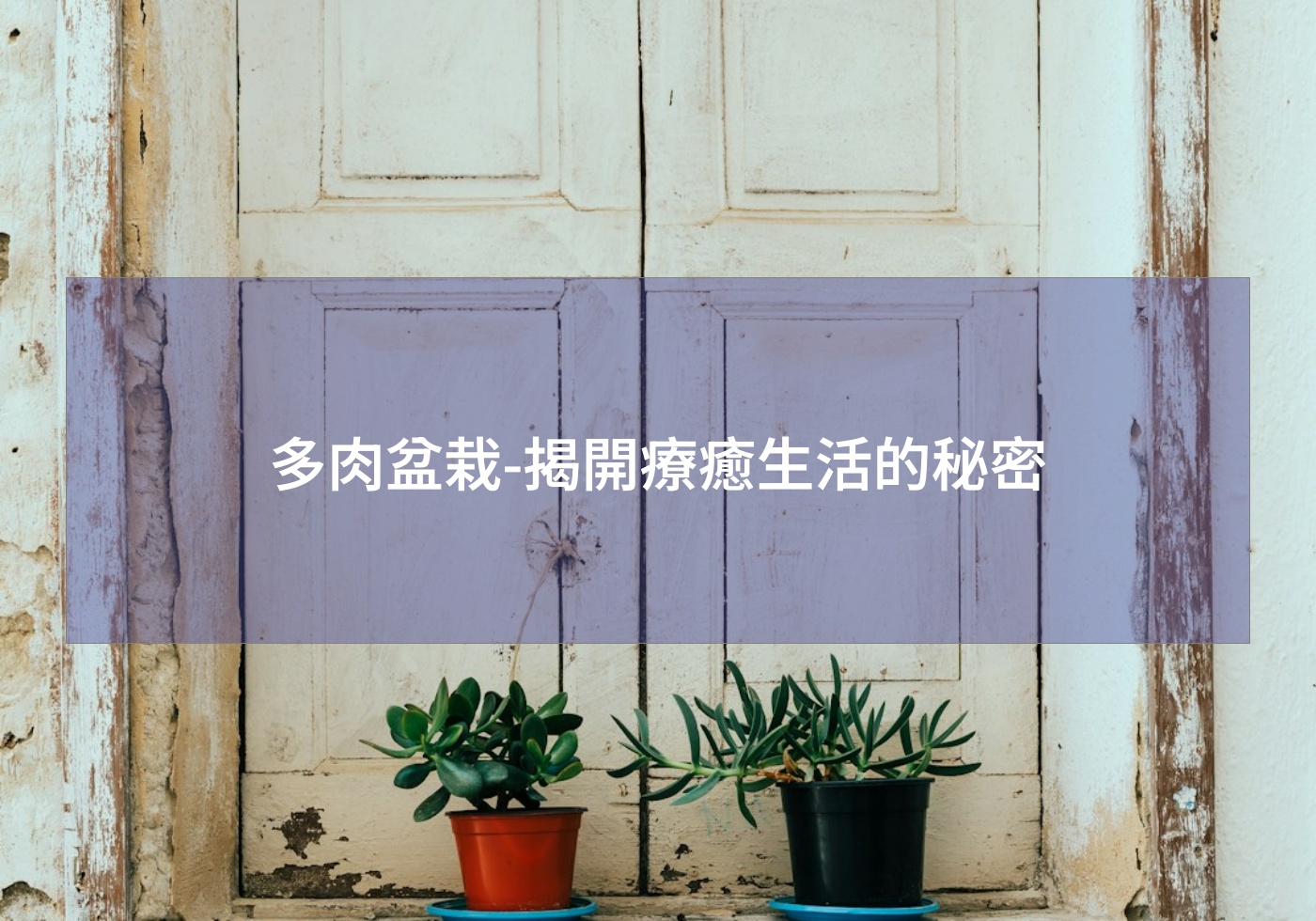 閱讀更多文章 多肉盆栽-揭開療癒生活的秘密