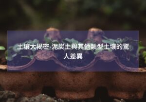 閱讀更多文章 土壤大揭密-泥炭土與其他類型土壤的驚人差異