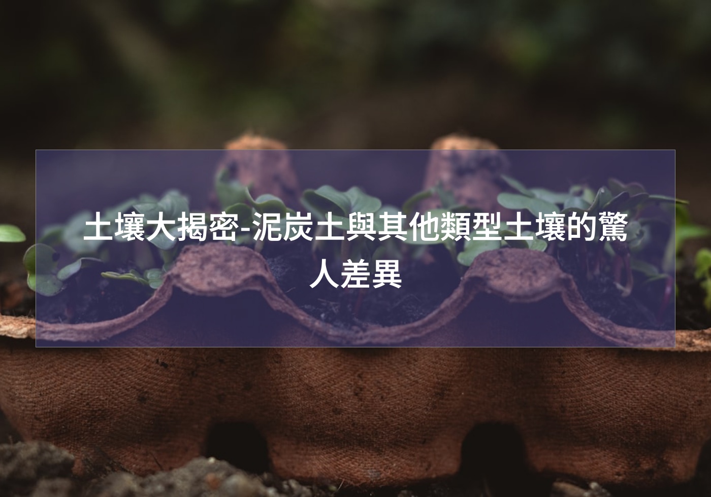 閱讀更多文章 土壤大揭密-泥炭土與其他類型土壤的驚人差異