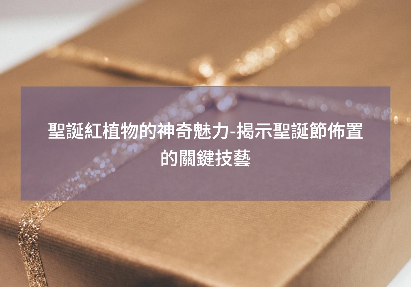 您目前正在查看 聖誕紅植物的神奇魅力-揭示聖誕節佈置的關鍵技藝