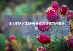 閱讀更多文章 仙人掌缺水之謎-揭秘萎蔫發軟的背後原因