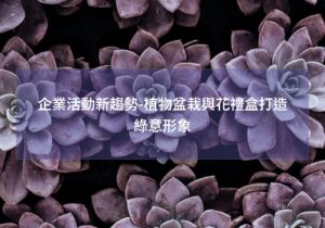 閱讀更多文章 企業活動新趨勢-植物盆栽與花禮盒打造綠意形象