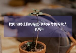 閱讀更多文章 揭開招財植物的秘密-關鍵字背後的驚人真相